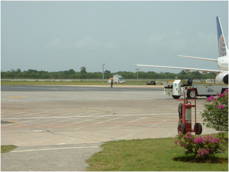 Flight2 (4)